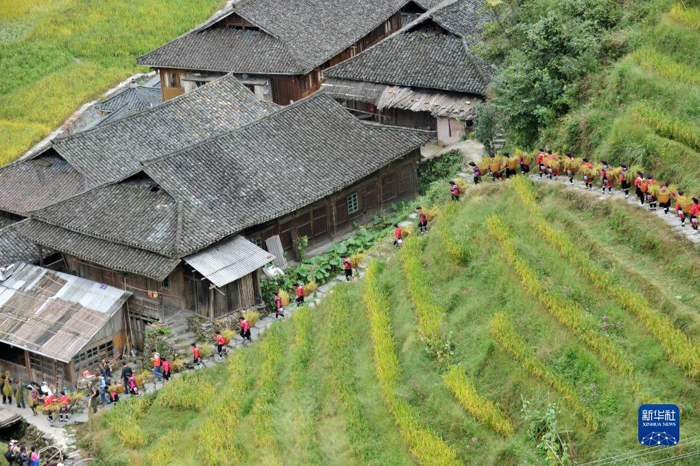 行走在梯田间的“风景”