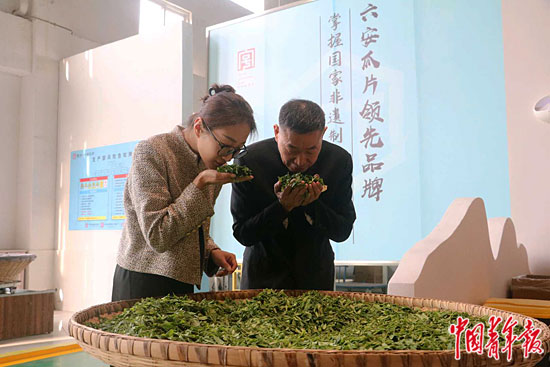 女海归“点茶成金” 盘活六安瓜片