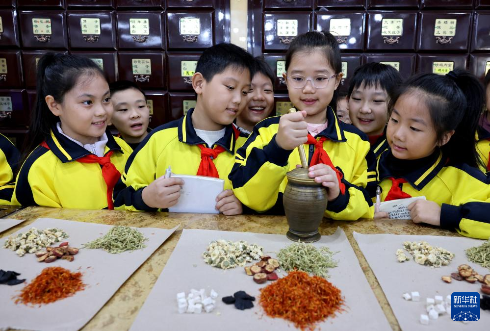 了解中医药知识 感受中医药文化魅力