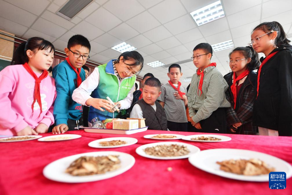 了解中医药知识 感受中医药文化魅力