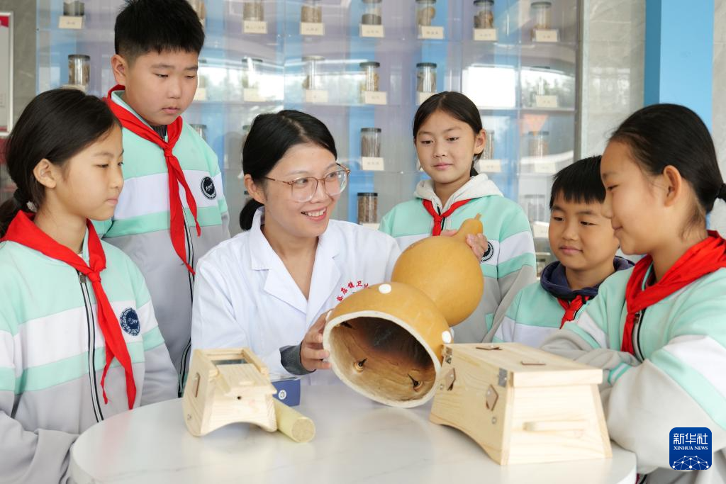 了解中医药知识 感受中医药文化魅力