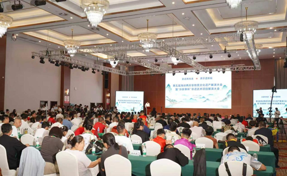 第五届海峡两岸非遗展演大会在山东举办